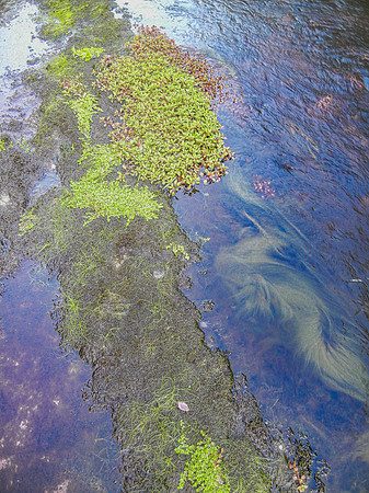 Nature's Palette