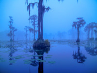Where the Water Remembers