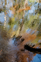 What the River Painted