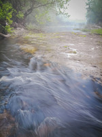 What the Water Reveals
