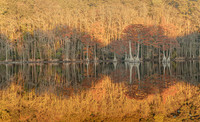 Where the Stillness Remembers