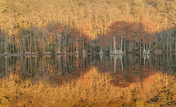 Where the Stillness Remembers