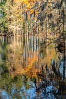 Autumn Remembers the Water