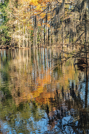 Autumn Remembers the Water