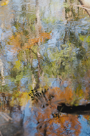 Autumn’s Water Palette