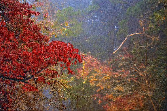 Misty Autumn Palette
