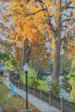 Riverside Path of Tranquility