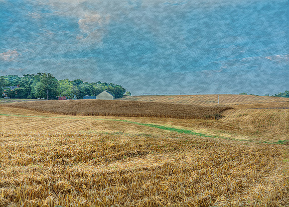Harvests Embrace: Shenandoah Homestead