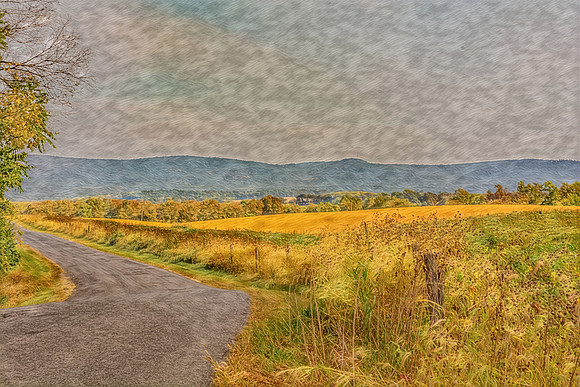 Golden Harvest Symphony