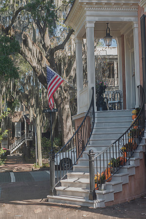 Savannah Charm: Flag-Adorned Entran