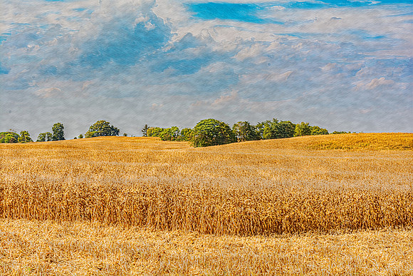 Gilded Dreams of the Shenandoah