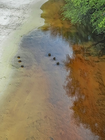 Tranquil Alapaha Meander