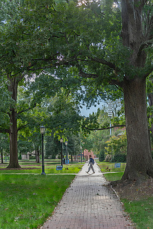 Legacy Walk: UNCs Historic Campus