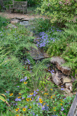 Tranquil Oasis