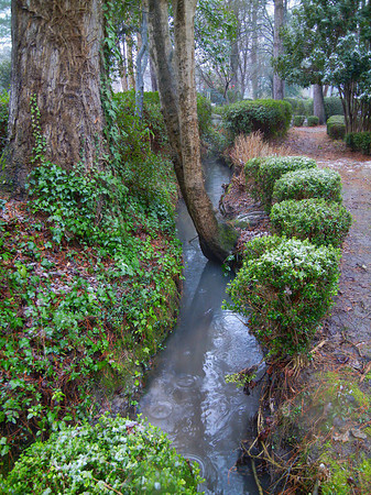 Misty Garden Creek