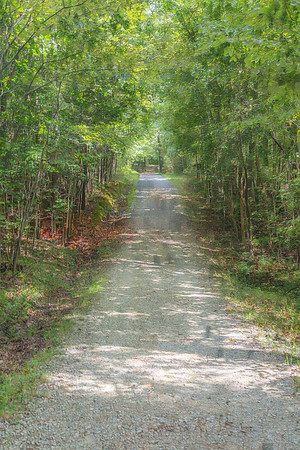 Enchanted Forest Passage