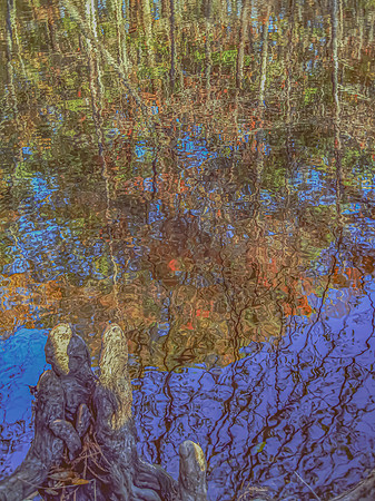 Reflections of Autumn Vibrance