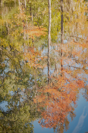 Blended Autumn Impressions