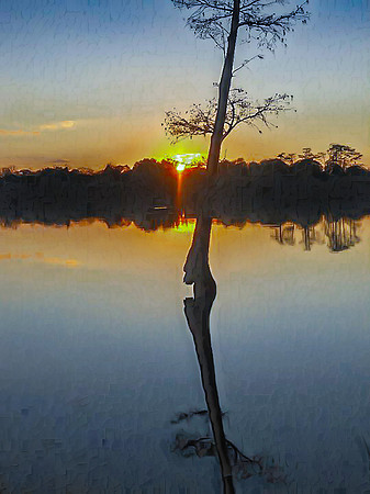 Solitary Sunset Reflection