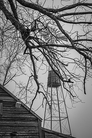 Windmill Through Winter Branches
