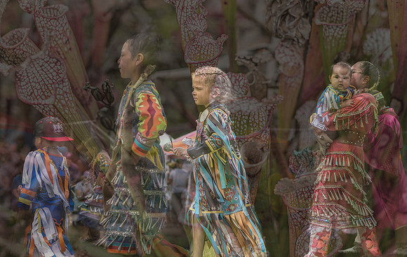 Children in Native regalia overlaid with pitcher plants, symbolizing growth, tradition, and cultural renewal.