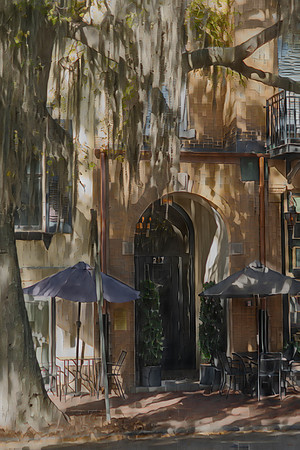 Southern Courtyard with Spanish Moss