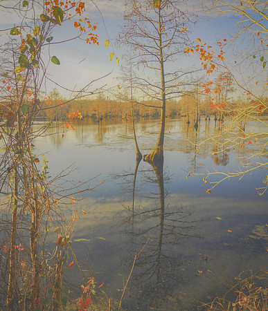 Autumn's Reflection