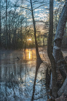 Misty Sunset over Drowning Creek