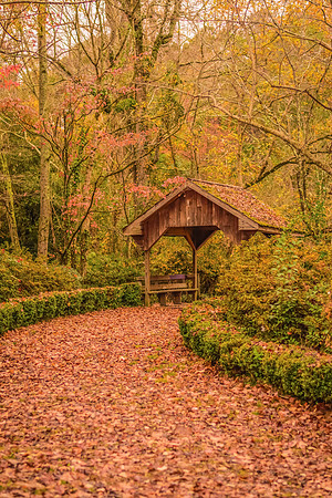 Autumn Pathway with Wooden Gazebo