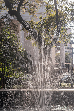 Fountain in Sunlit Courtyard
