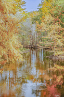 Golden Autumn Reflections