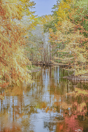 Golden Autumn Reflections