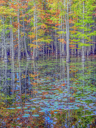 Autumn’s Mirror