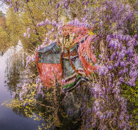 A shawl dancer in motion overlaid with wisteria blossoms, symbolizing grace, resilience, and harmony with nature.